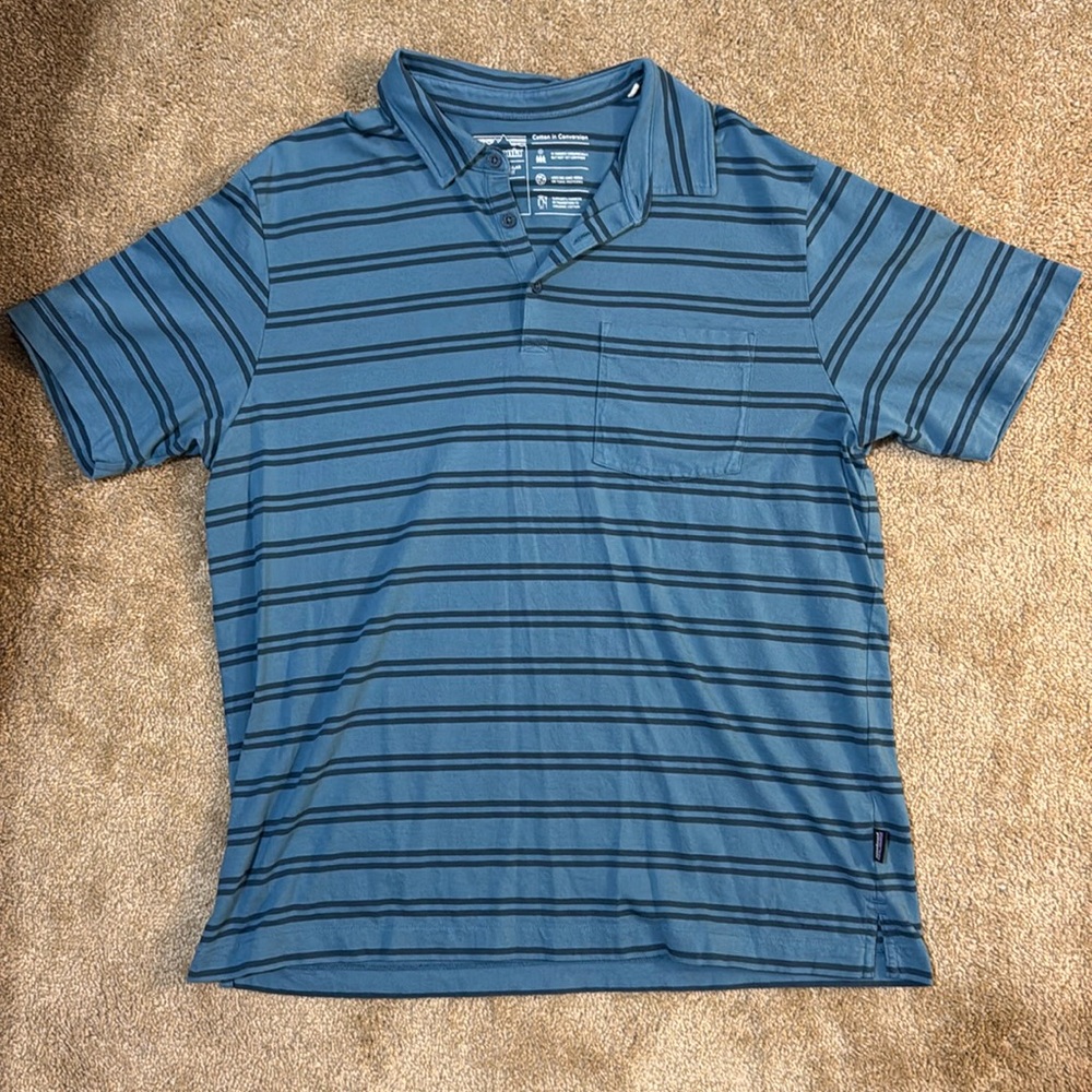 Blue Patagonia polo shirt